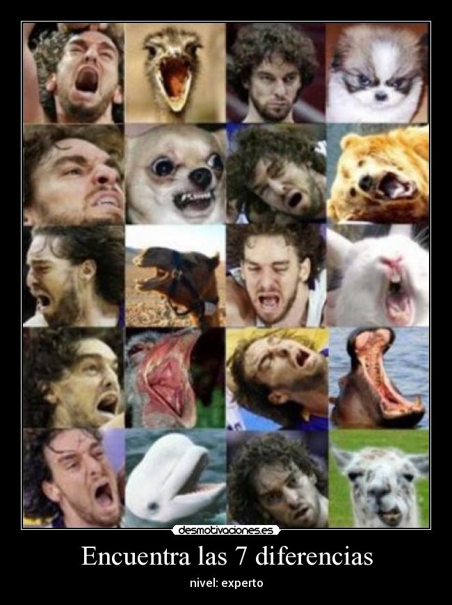 Encuentra las 7 diferencias - nivel: experto