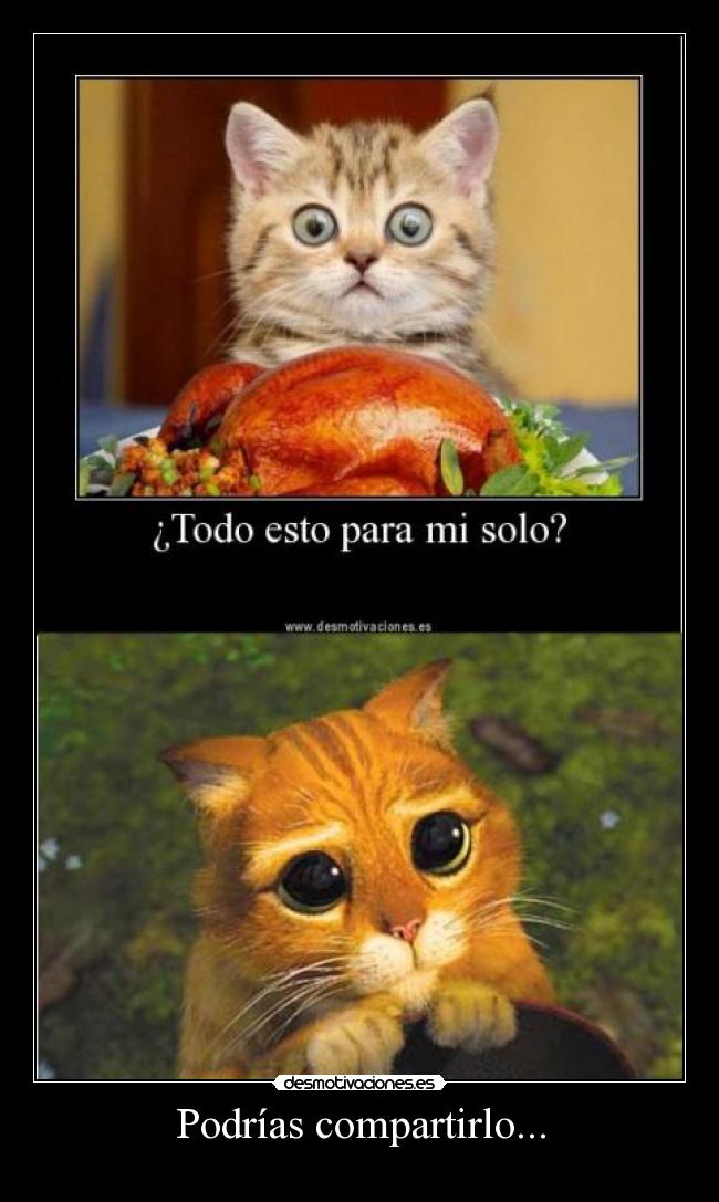 Podrías compartirlo... - 