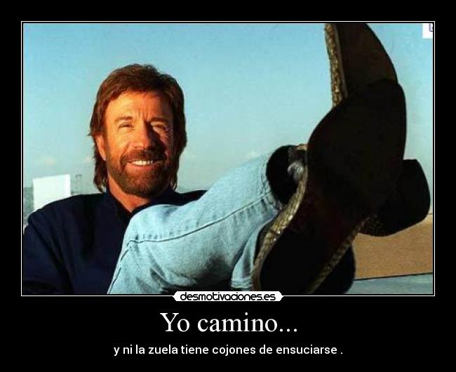 Yo camino... - 