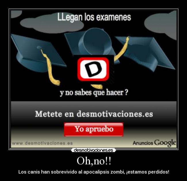 Oh,no!! - Los canis han sobrevivido al apocalipsis zombi, ¡estamos perdidos!