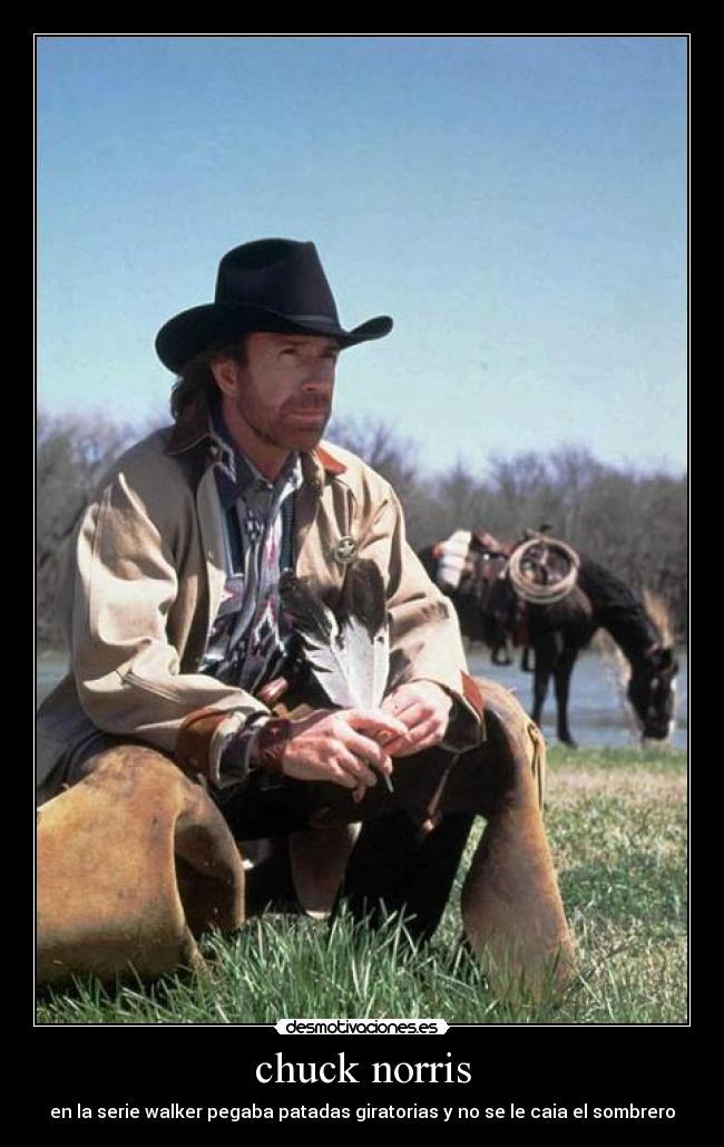 chuck norris -