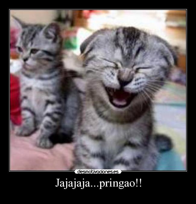 Jajajaja...pringao!! -