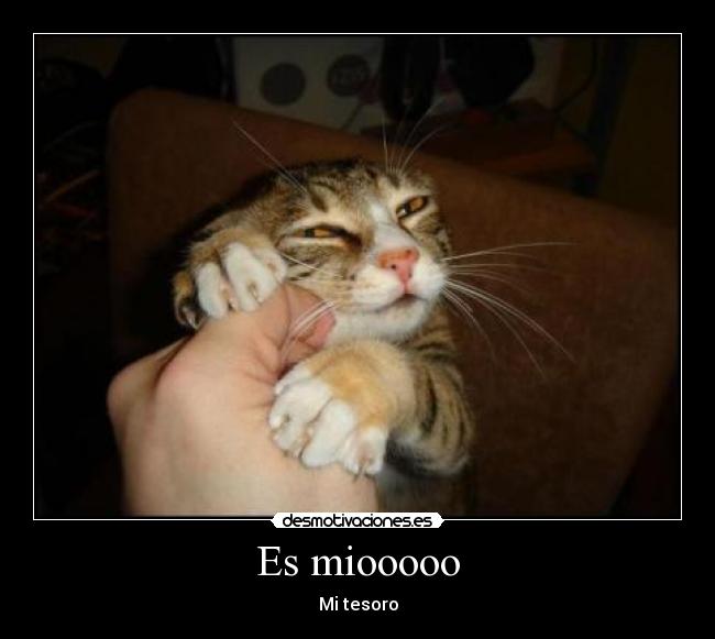 Es miooooo - Mi tesoro