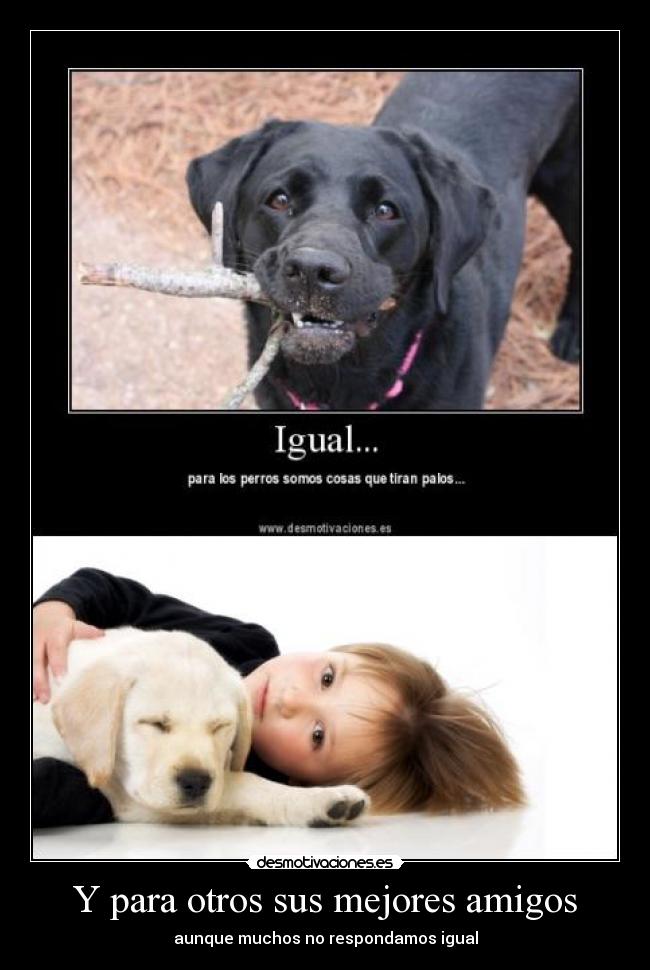 Y para otros sus mejores amigos -