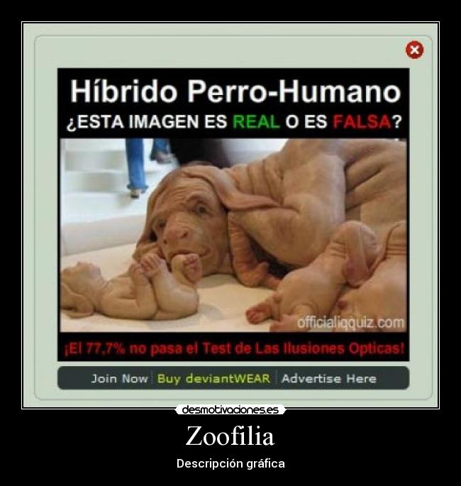 Zoofilia - Descripción gráfica