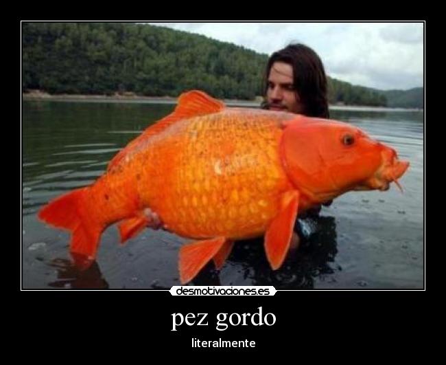 pez gordo - literalmente