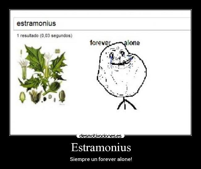 Estramonius - Siempre un forever alone!