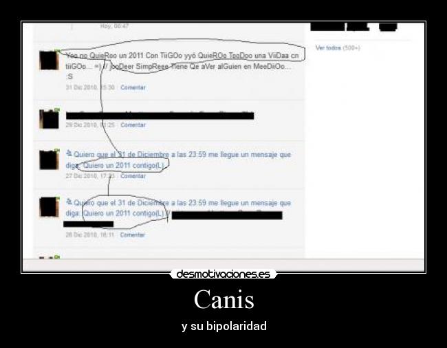 Canis - 