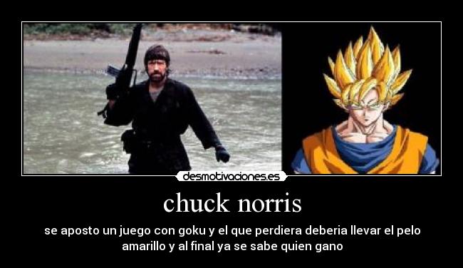 chuck norris - 