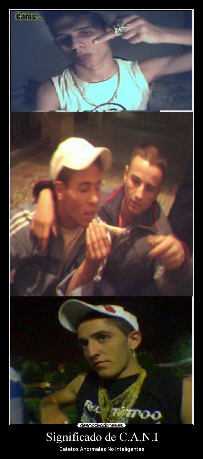 Significado de C.A.N.I -