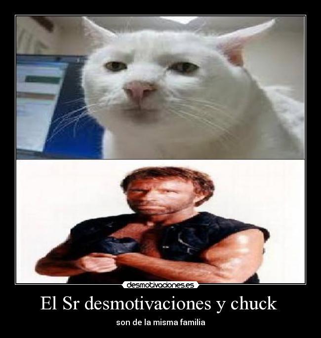 El Sr desmotivaciones y chuck -