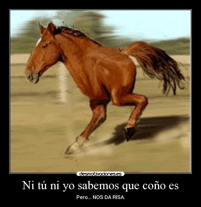 Ni tú ni yo sabemos que coño es - Pero... NOS DA RISA.
