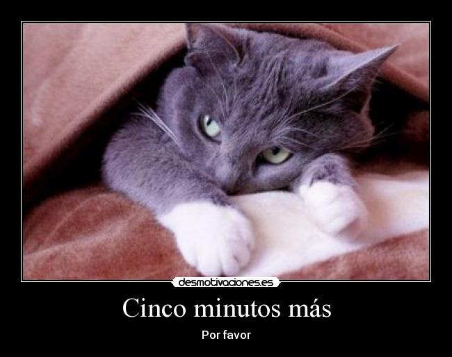 Cinco minutos más - Por favor