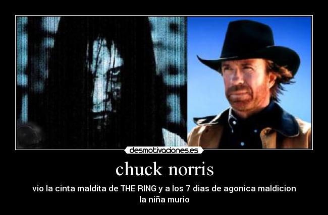 chuck norris -