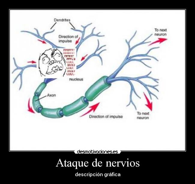 Ataque de nervios - descripción gráfica