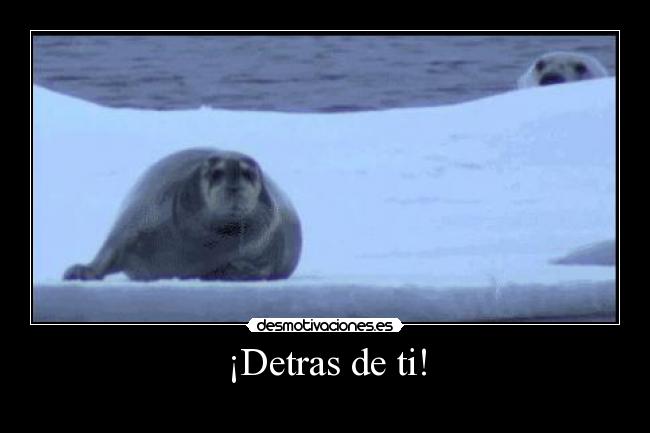 carteles detras desmotivaciones