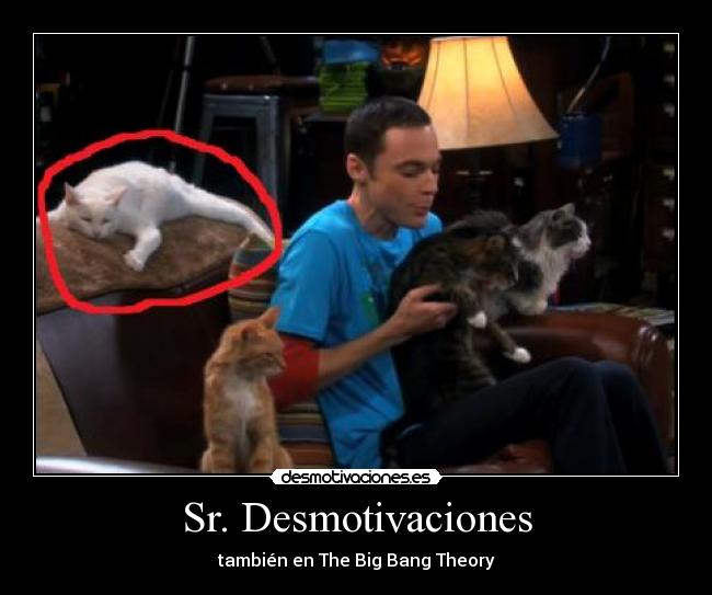 Sr. Desmotivaciones -