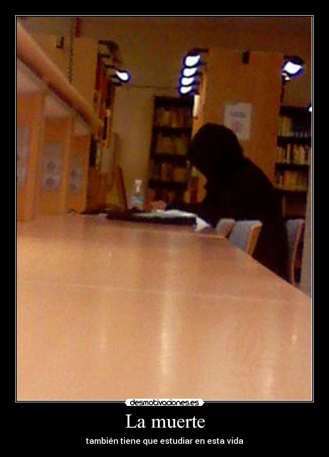 carteles muerte muerte estudiar desmotivaciones