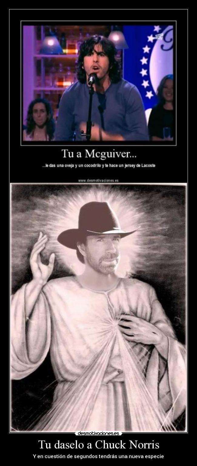 carteles chuck norris jaja walt_k principal cola mas menos subir desmotivaciones