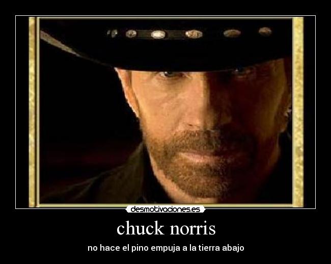 chuck norris -