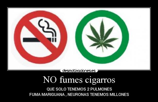 NO fumes cigarros - QUE SOLO TENEMOS 2 PULMONES
FUMA MARIGUANA , NEURONAS TENEMOS MILLONES