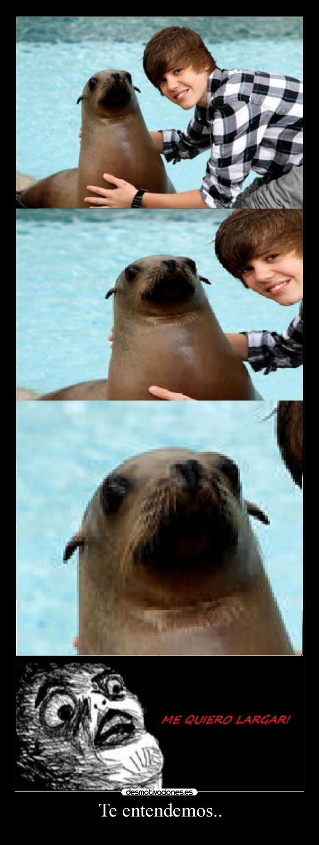 carteles justin bieber desmotivaciones