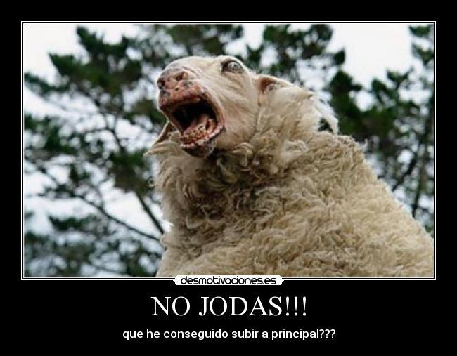 NO JODAS!!! - 