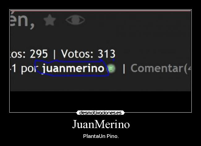 JuanMerino - PlantaUn Pino.