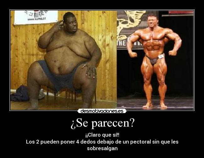 ¿Se parecen? - 