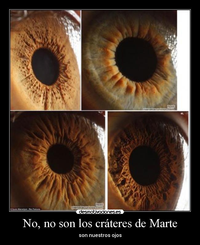 No, no son los cráteres de Marte - son nuestros ojos