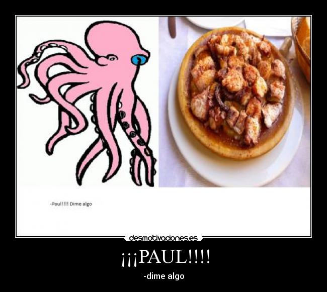 ¡¡¡PAUL!!!! -