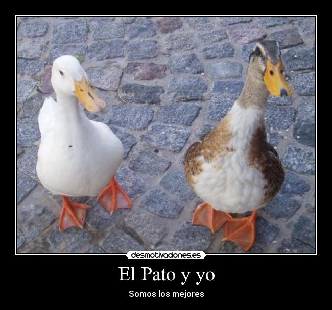 El Pato y yo -