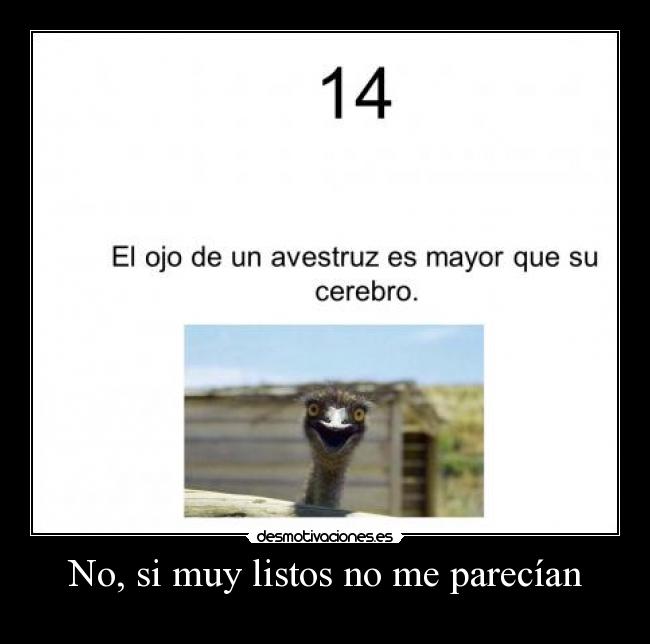 No, si muy listos no me parecían - 