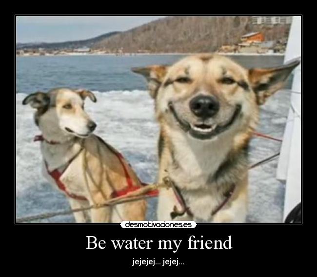 Be water my friend - jejejej... jejej...