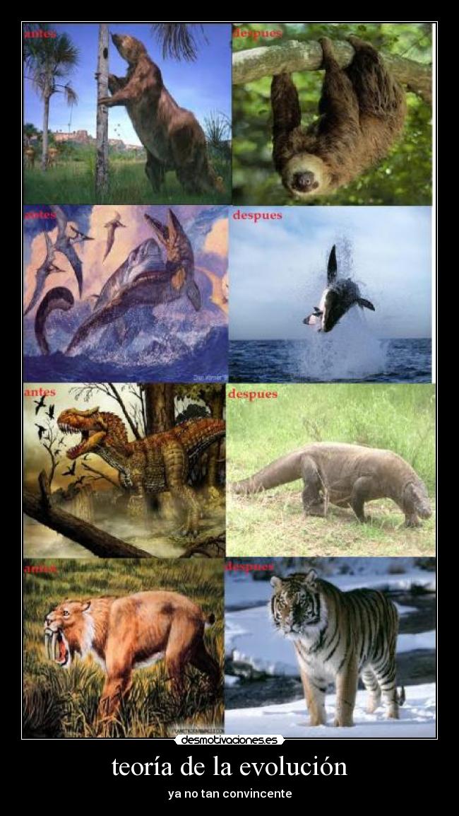 teoría de la evolución - ya no tan convincente