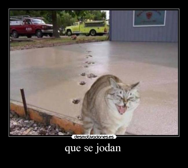 que se jodan  - 