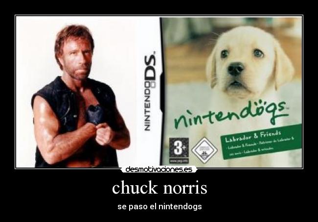 chuck norris -