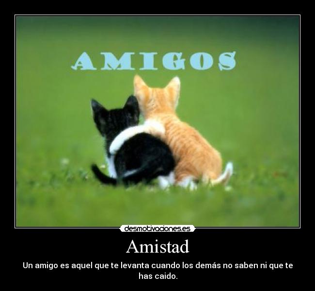 Amistad - Un amigo es aquel que te levanta cuando los demás no saben ni que te has caido.