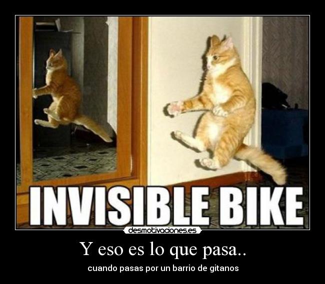 Y eso es lo que pasa.. - 