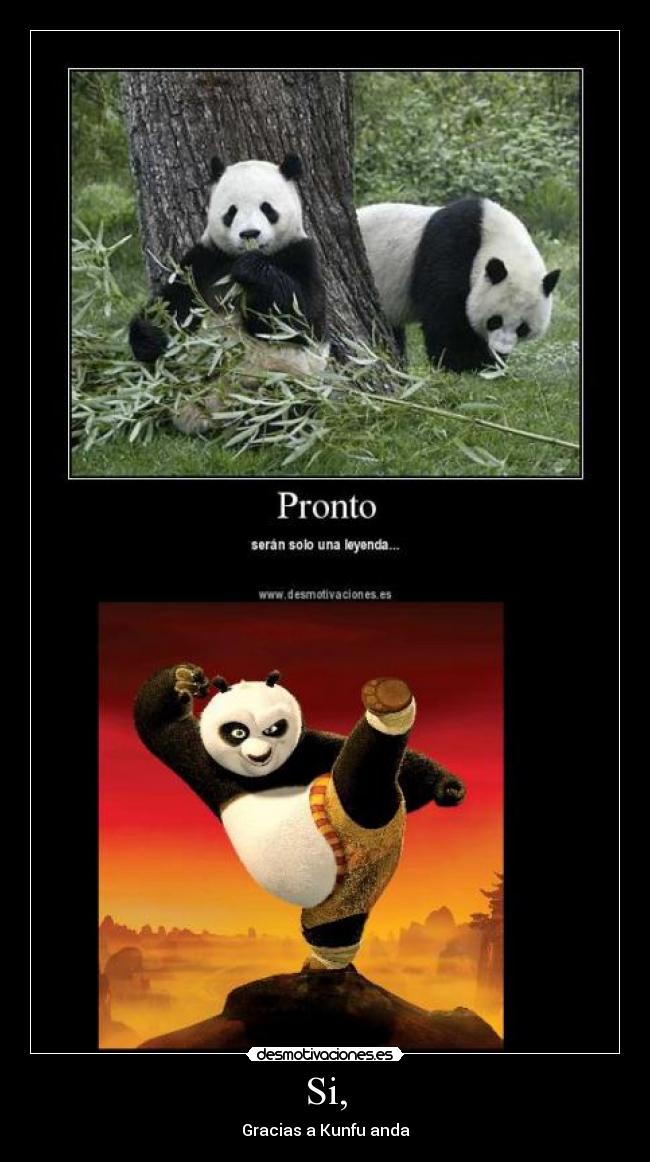 Si, - Gracias a Kunfu anda