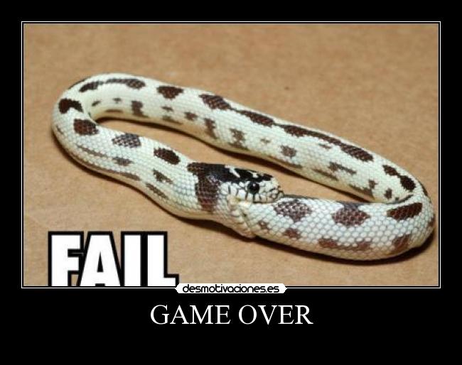 GAME OVER -