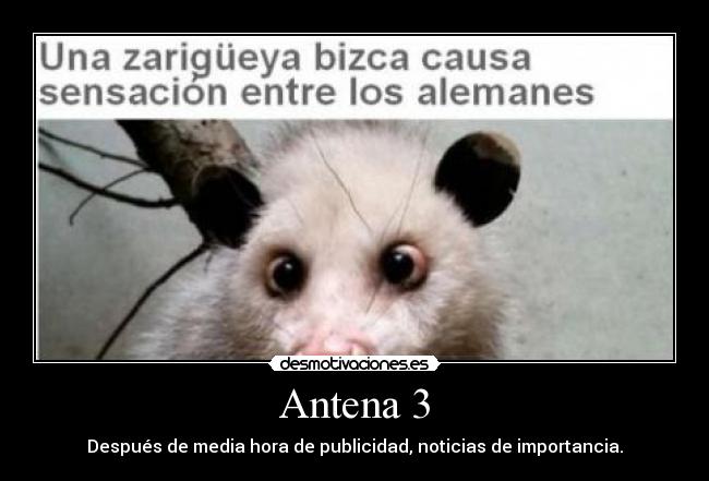 carteles antena desmotivaciones