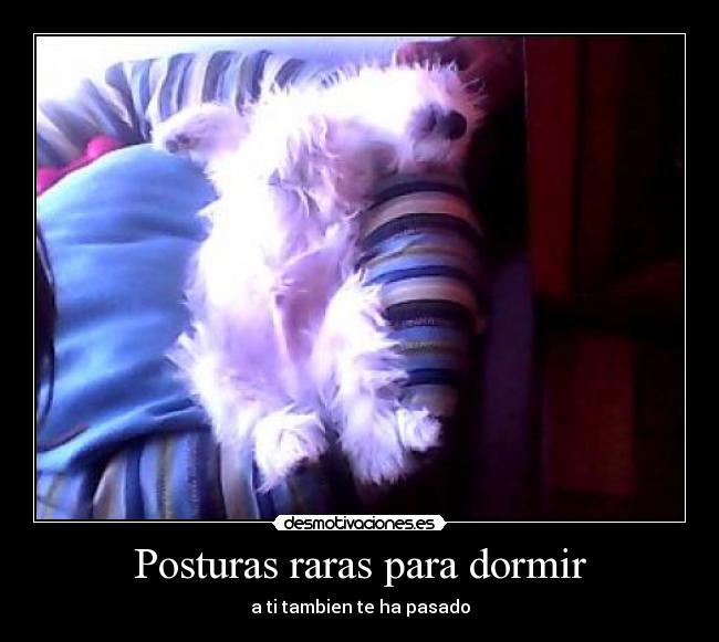 Posturas raras para dormir - a ti tambien te ha pasado
