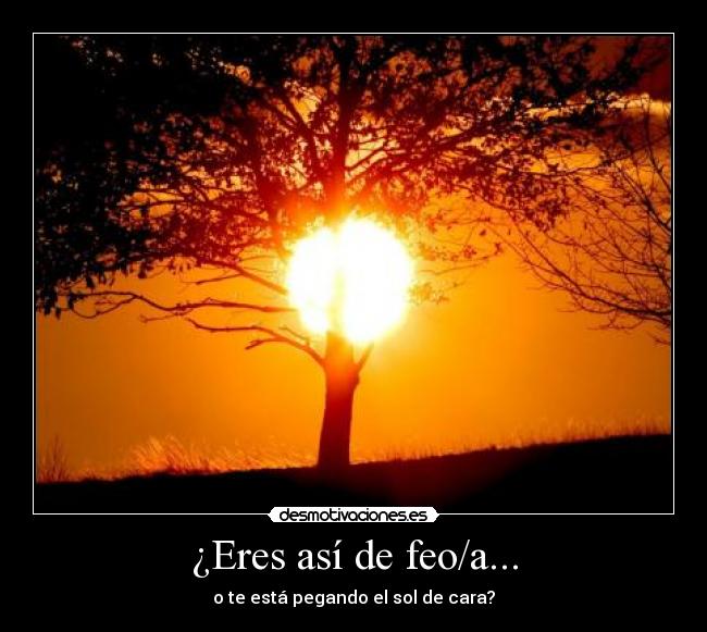 ¿Eres así de feo/a... - o te está pegando el sol de cara?