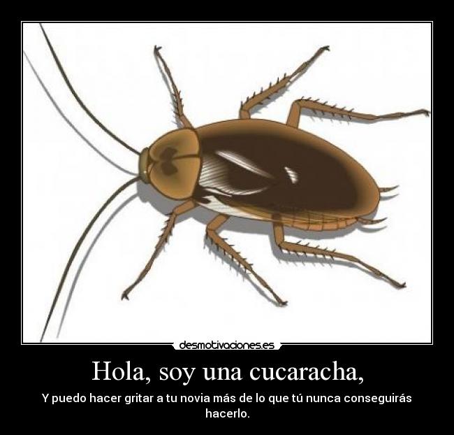 carteles cucaracha gritar desmotivaciones