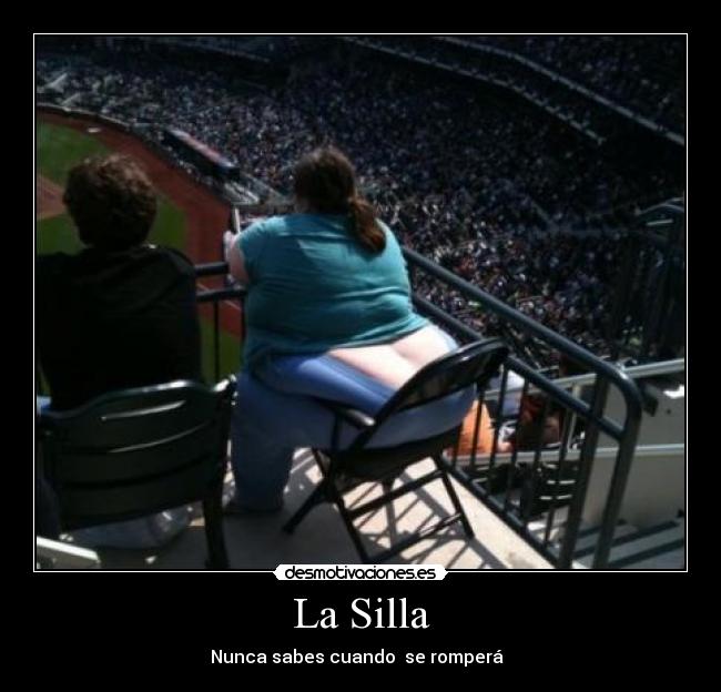 carteles gorda silla resistencia desmotivaciones