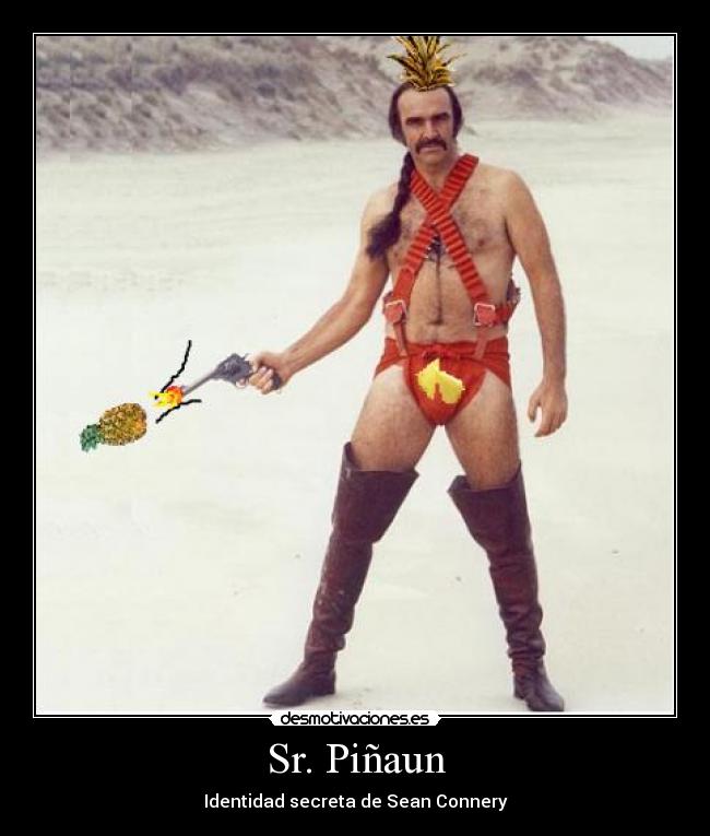 Sr. Piñaun - 