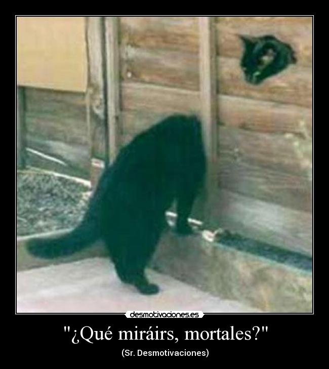¿Qué miráirs, mortales? - 