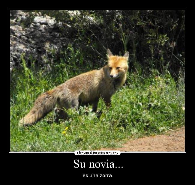 Su novia... -