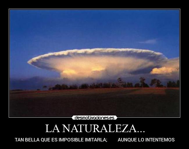 carteles naturaleza atenea5 desmotivaciones